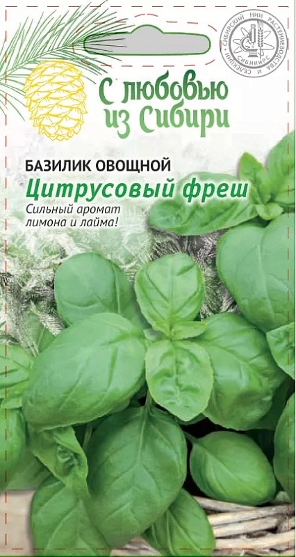 Базилик овощной Цитрусовый фреш (Сибирская серия) 0,3 гр цв.п.